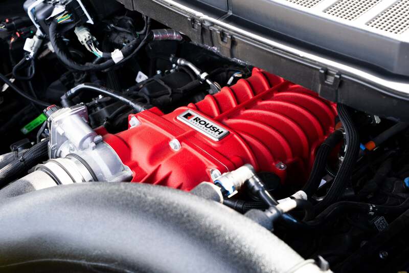 Photo - Close Up