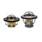 Water Pumps & Thermostats